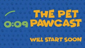 The Pet Pawcast: Talking Vaccinations