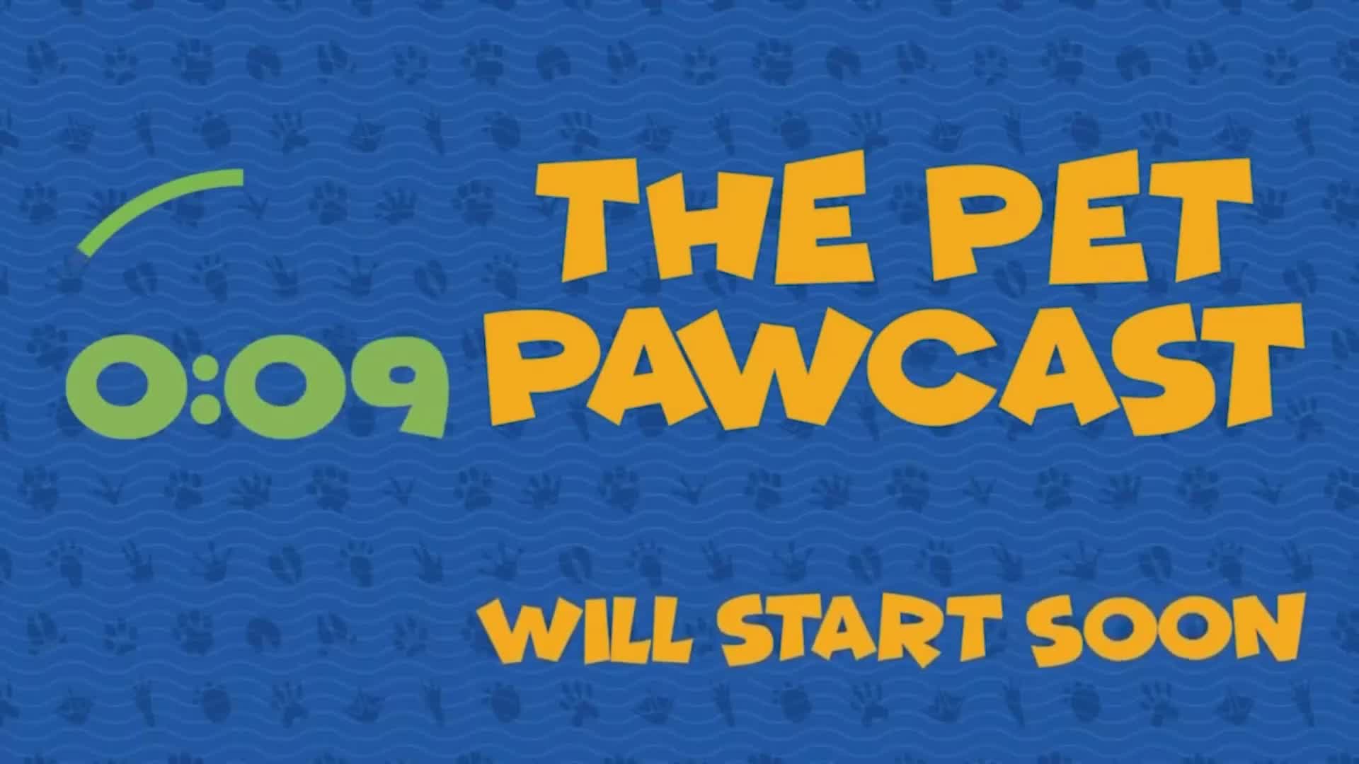 The Pet Pawcast: Talking Vaccinations
