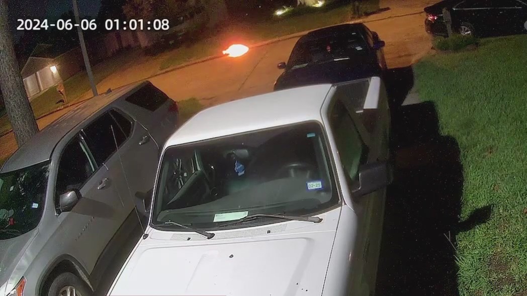 Harris County teens accused of setting cat on fire