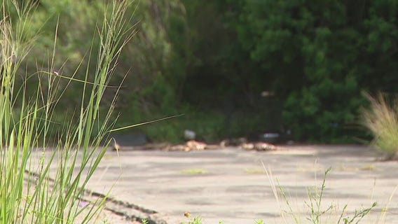 Four dogs found dead, left near freeway in Spring