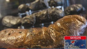 Poop museum houses fossilized dinosaur feces