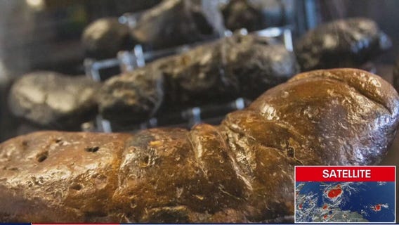 Poop museum houses fossilized dinosaur feces