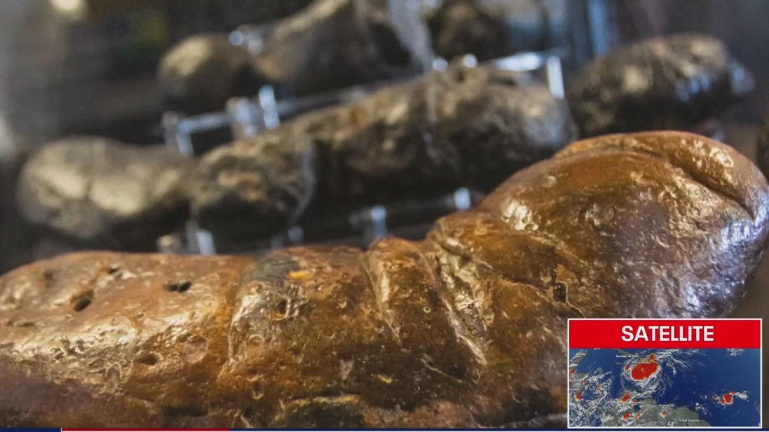 Poop museum houses fossilized dinosaur feces