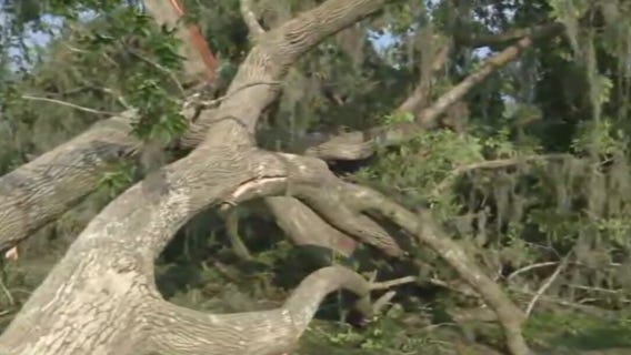 Houston-area residents dealing with fallen trees