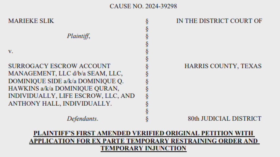 Surrogacy firm accused of stealing millions