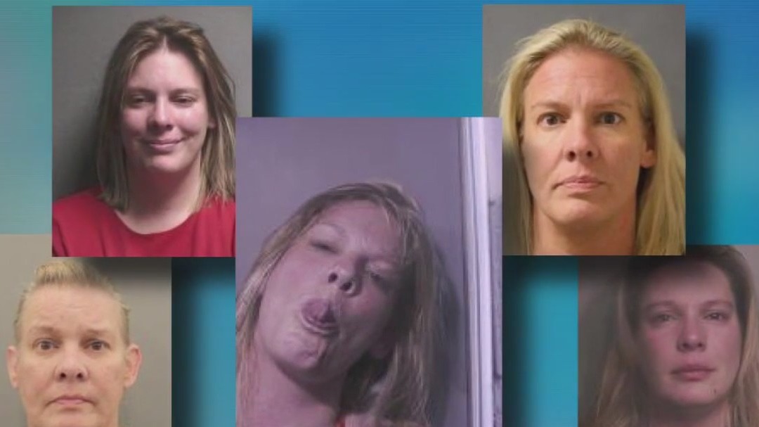 Harris County crime: Woman released on PR bond after totaling cop cars