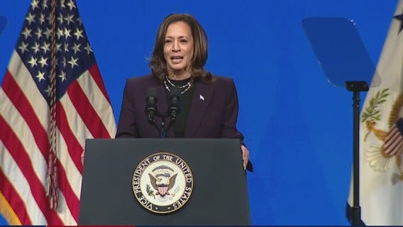 Vice President Harris gets first endorsement