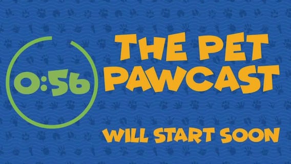 Spay and Neutering - The Pet Pawcast