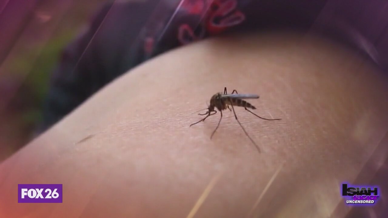 West Nile Virus outbreak in 2024
