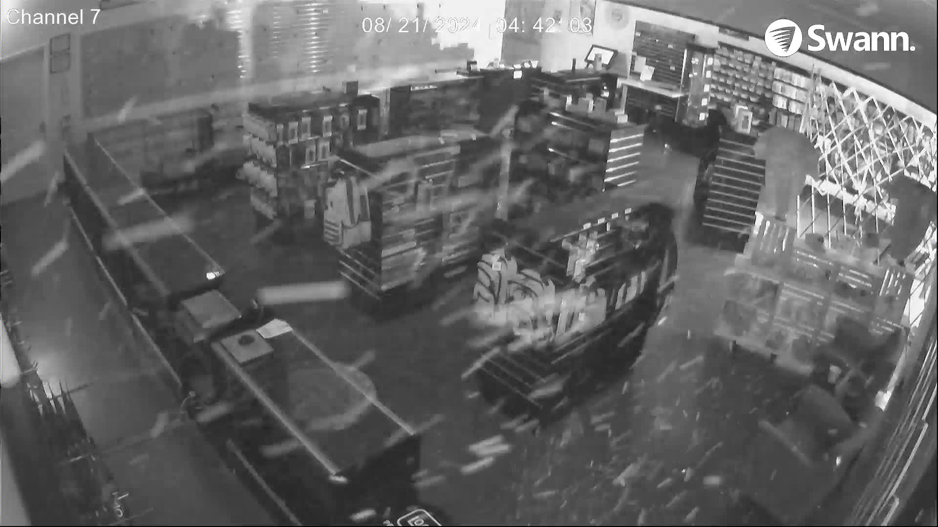 WATCH: Surveillance video captures suspects smash into ESAD Arms business
