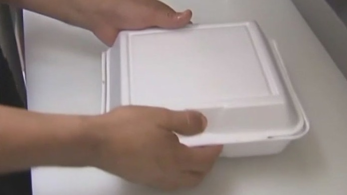 New study: Plastic in your brain