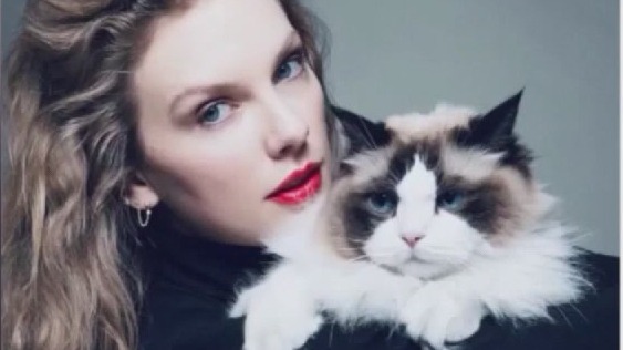 Trump, Vance criticize Swift?s endorsement