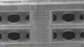 Throw away Milo's Eggs: Salmonella risk