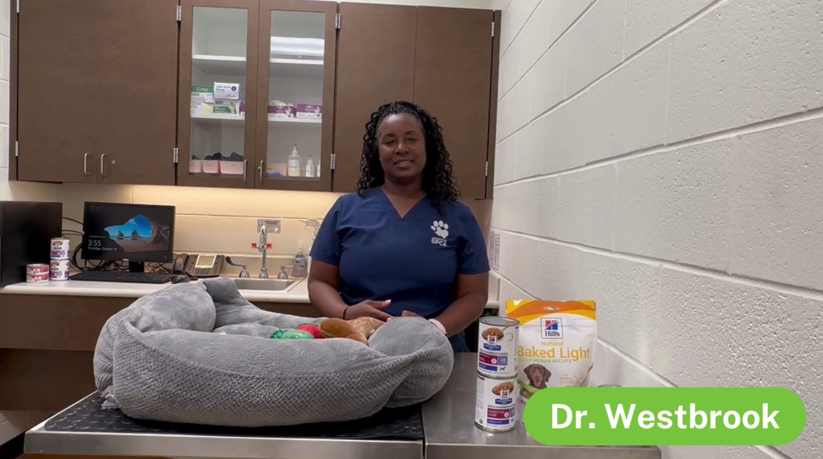 Fall and Winter pet care | The Pet Pawcast