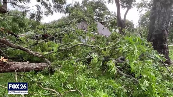 Family homeowners insurance canceled, beauty 'dupes', and best time to buy a car