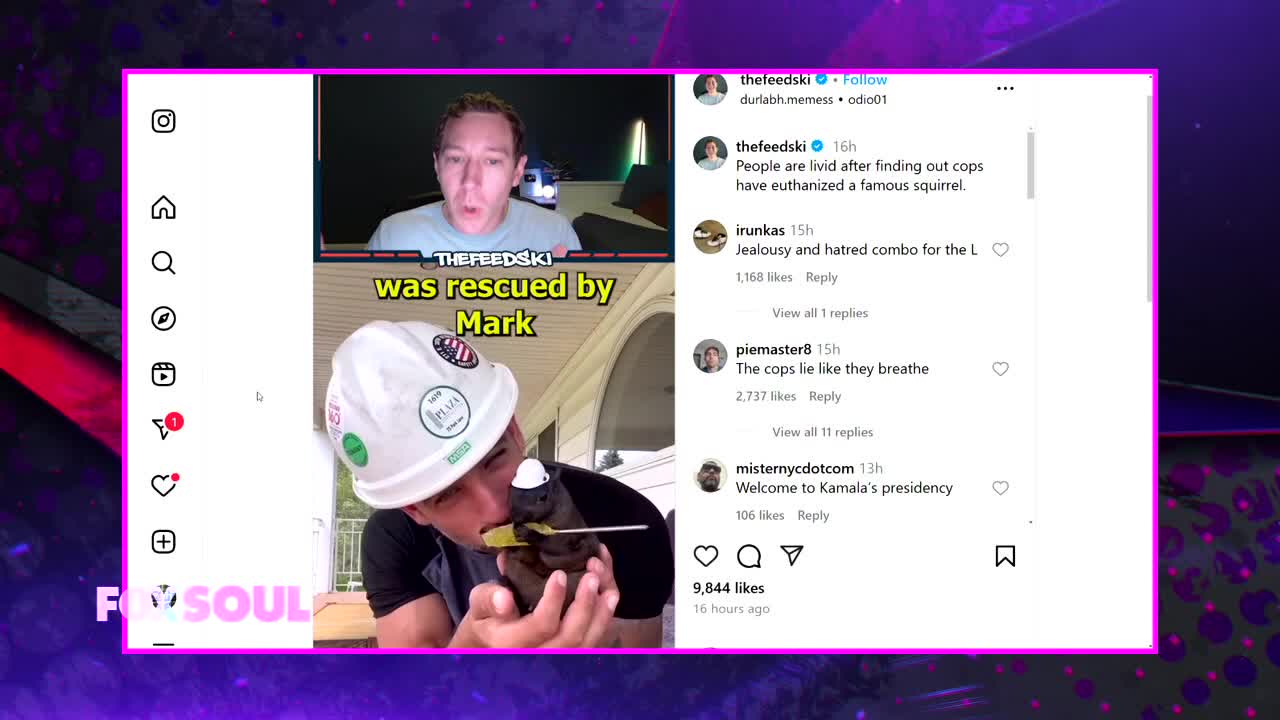 PNut The Racoon Euthanized, Fake Harris Supporters, Pandering to Black Voters