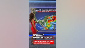 Tropical Storm Sara Bilingual Update