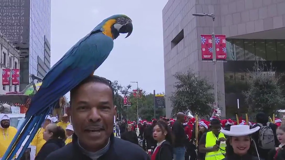 Fun at the Houston Thanksgiving Day Parade