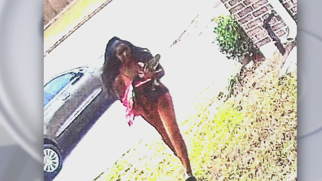 Bicyclist killed by hit-and-run driver in Harris County