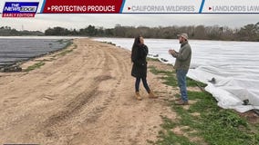 Dangers of not protecting crops in cold weather