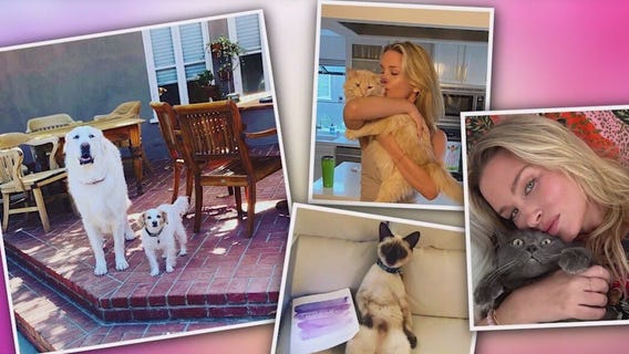 Managing grief after losing your pet