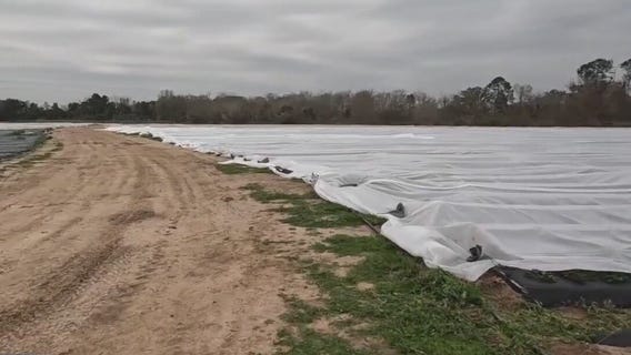 Froberg Farm protecting crops from the cold