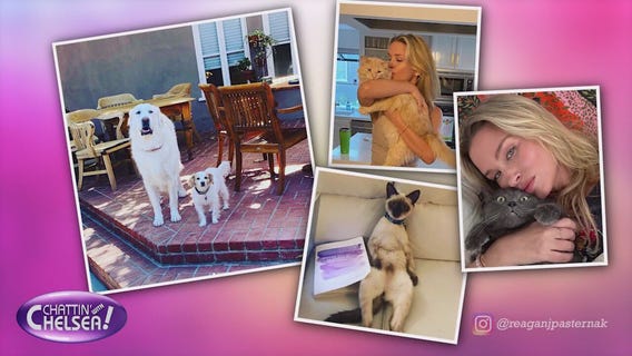 'Griffin's Heart' offers help with pet loss