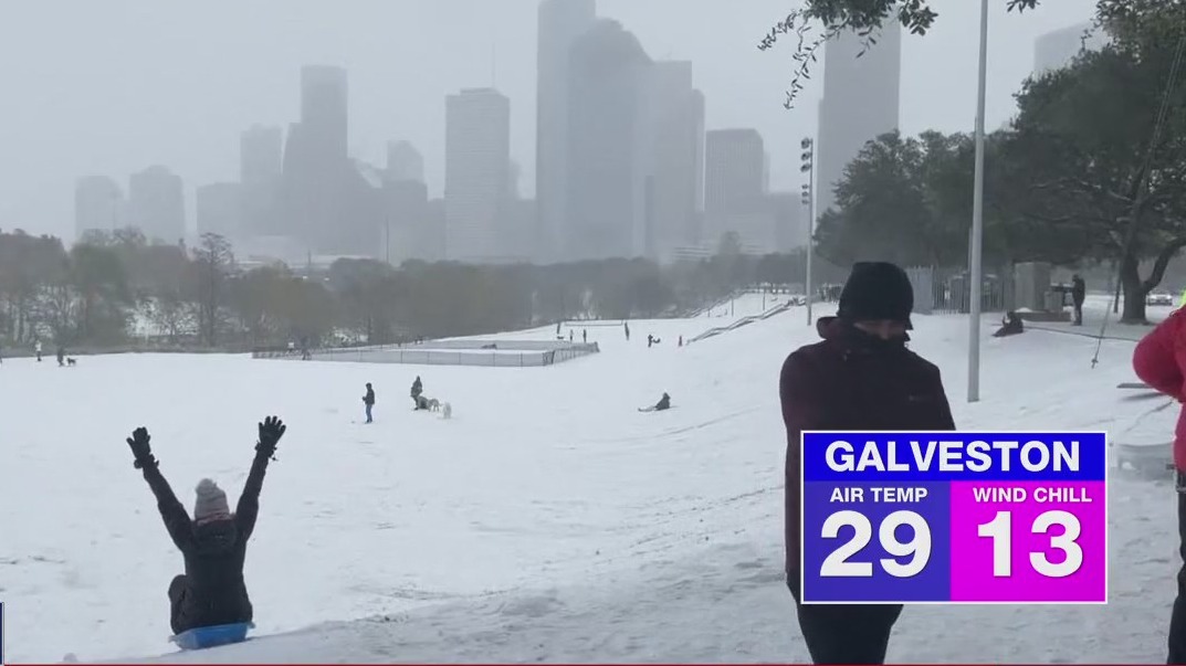 Houstonians having fun in the snow!
