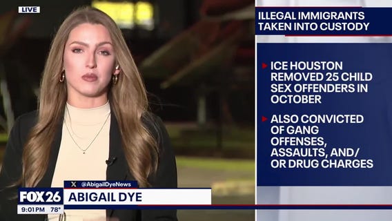 Illegal immigrant crimes & a breakdown of ice operations in Houston - FOX 26 Crime Files