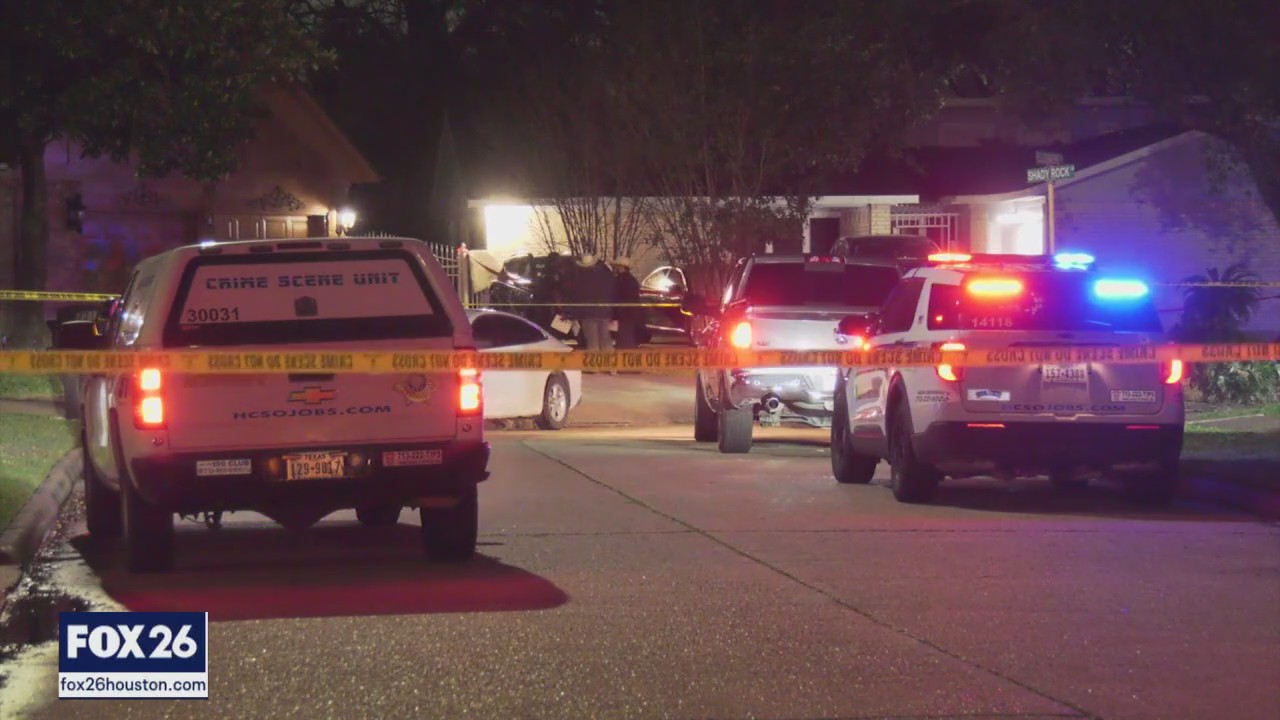 Harris County crime: Adult son accused of killing his mother with ...