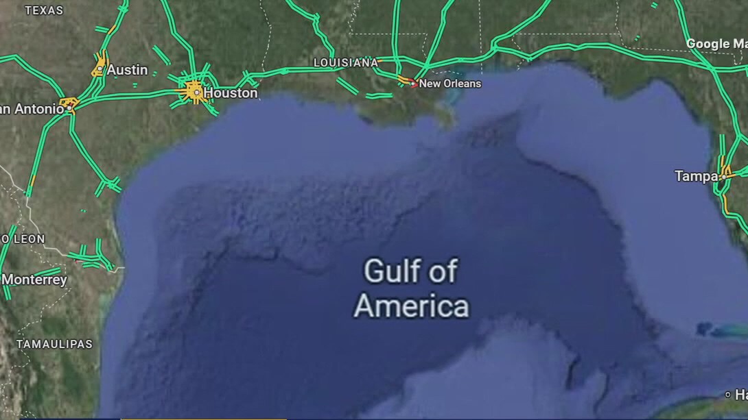 D.C. Daily: 50501 Movement; White House, AP feud