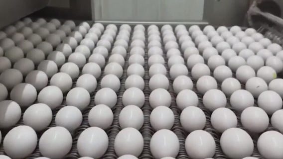 Dealing with high egg prices? Here are some alternatives