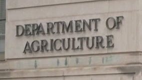 Corporate layoffs expected as federal layoffs are underway