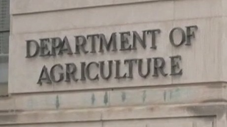 Corporate layoffs expected as federal layoffs are underway