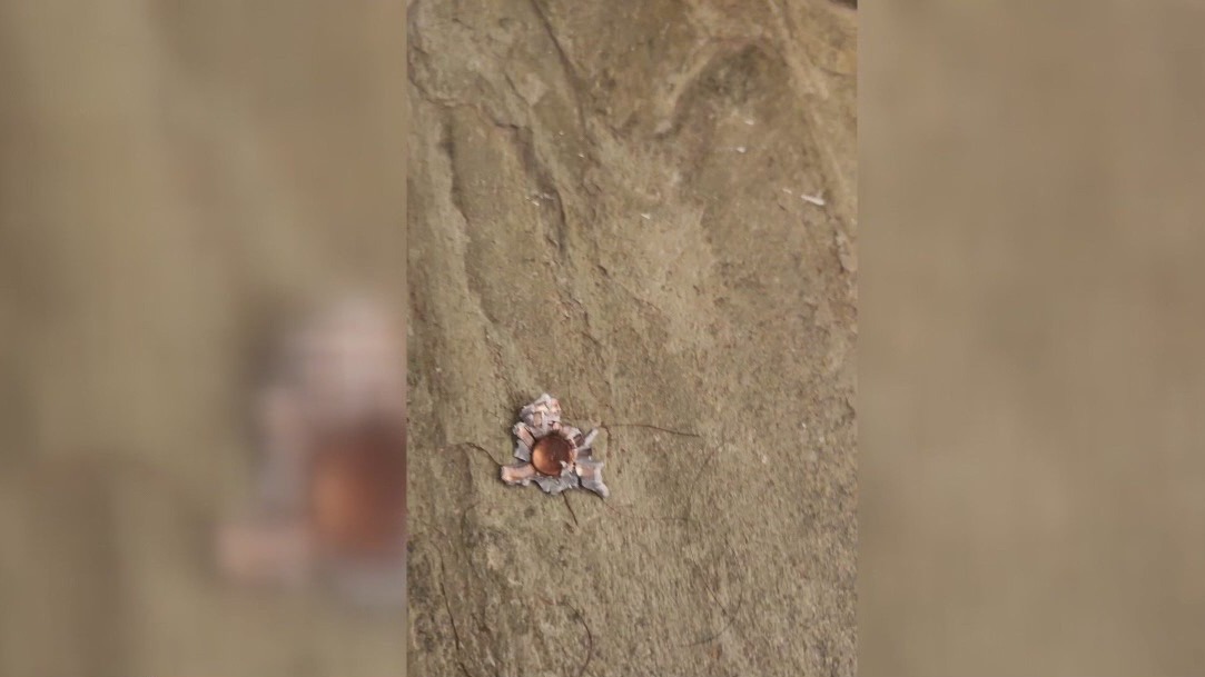 Rise in violent crime in Washington Avenue neighborhood