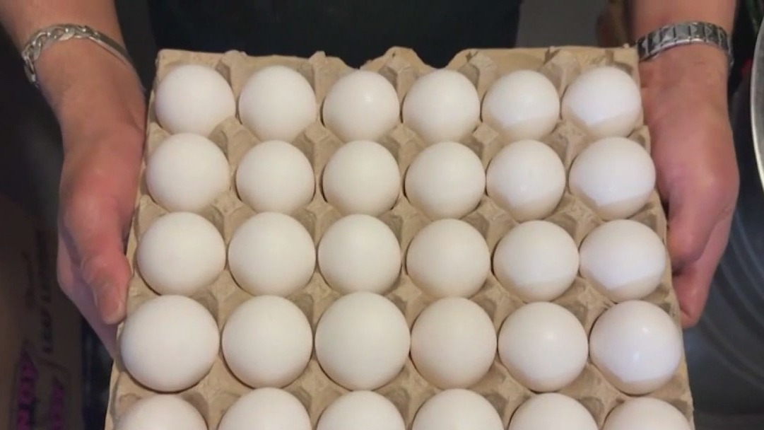 Egg prices: USDA unveils plan to combat price hike