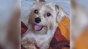 Family files lawsuit after dog dies