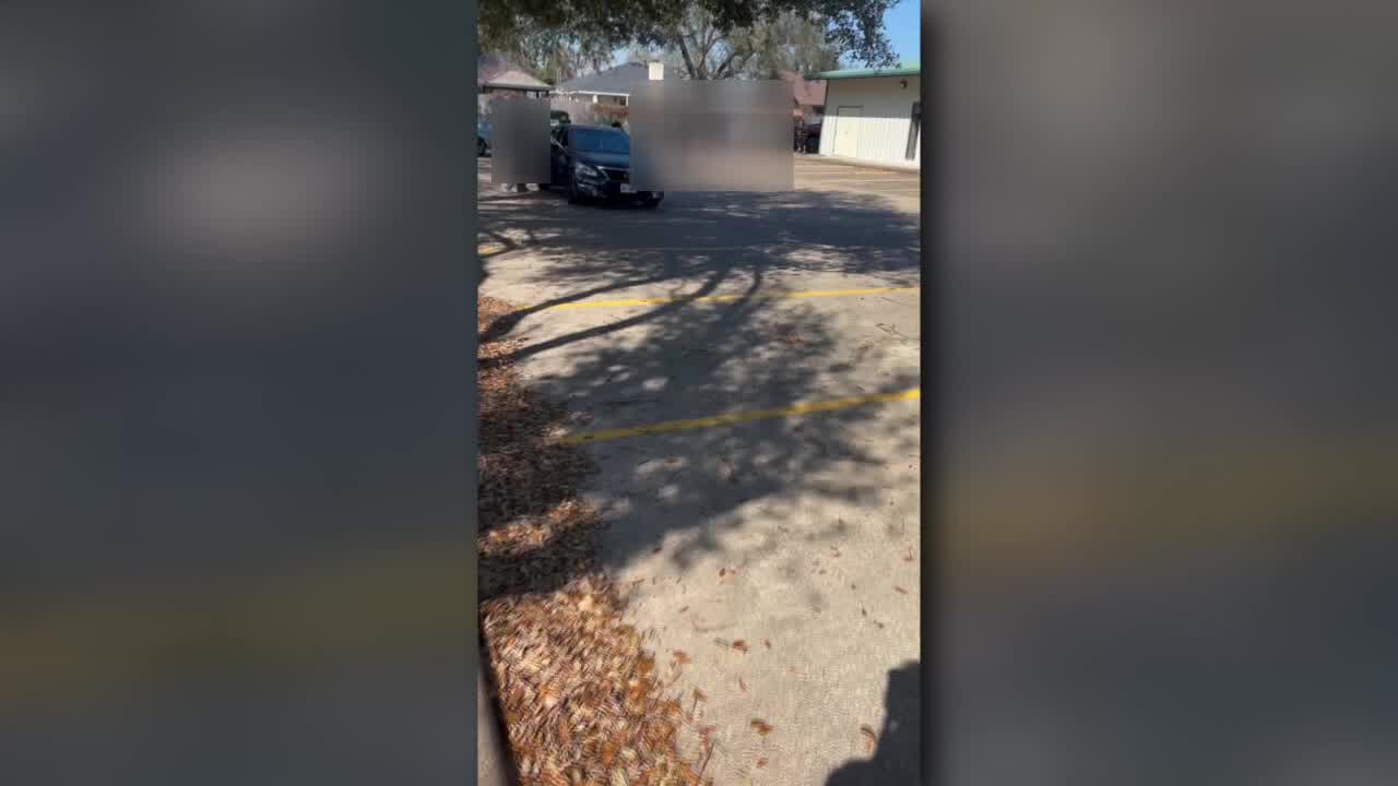 CAUGHT ON CAMERA: Fight caught between students off-campus | FOX 26 Houston