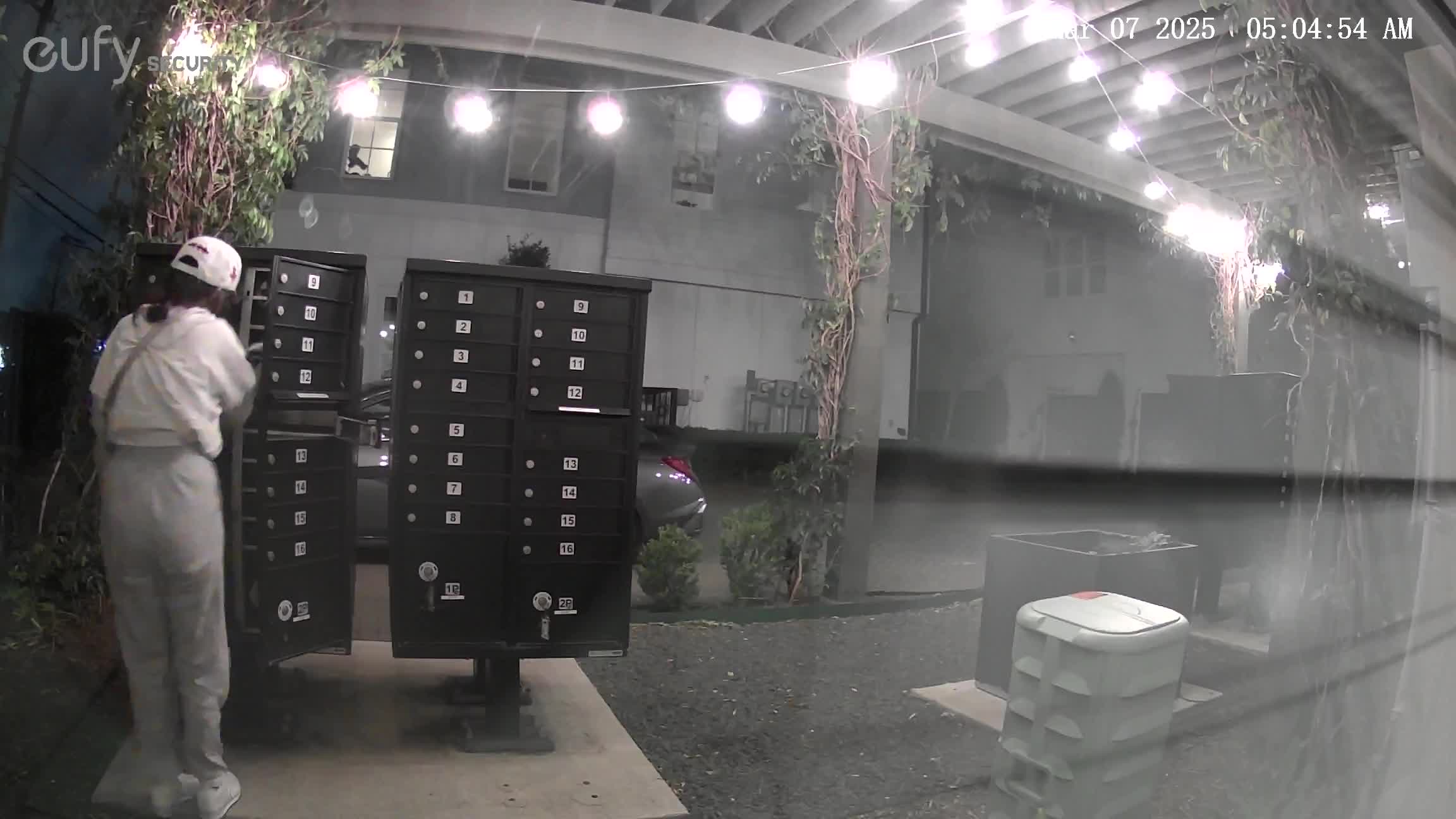 Houston mail theft caught on camera