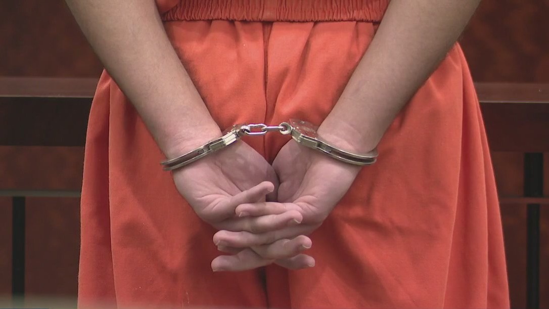 Harris County: 17-year-old indicted on terrorism charge