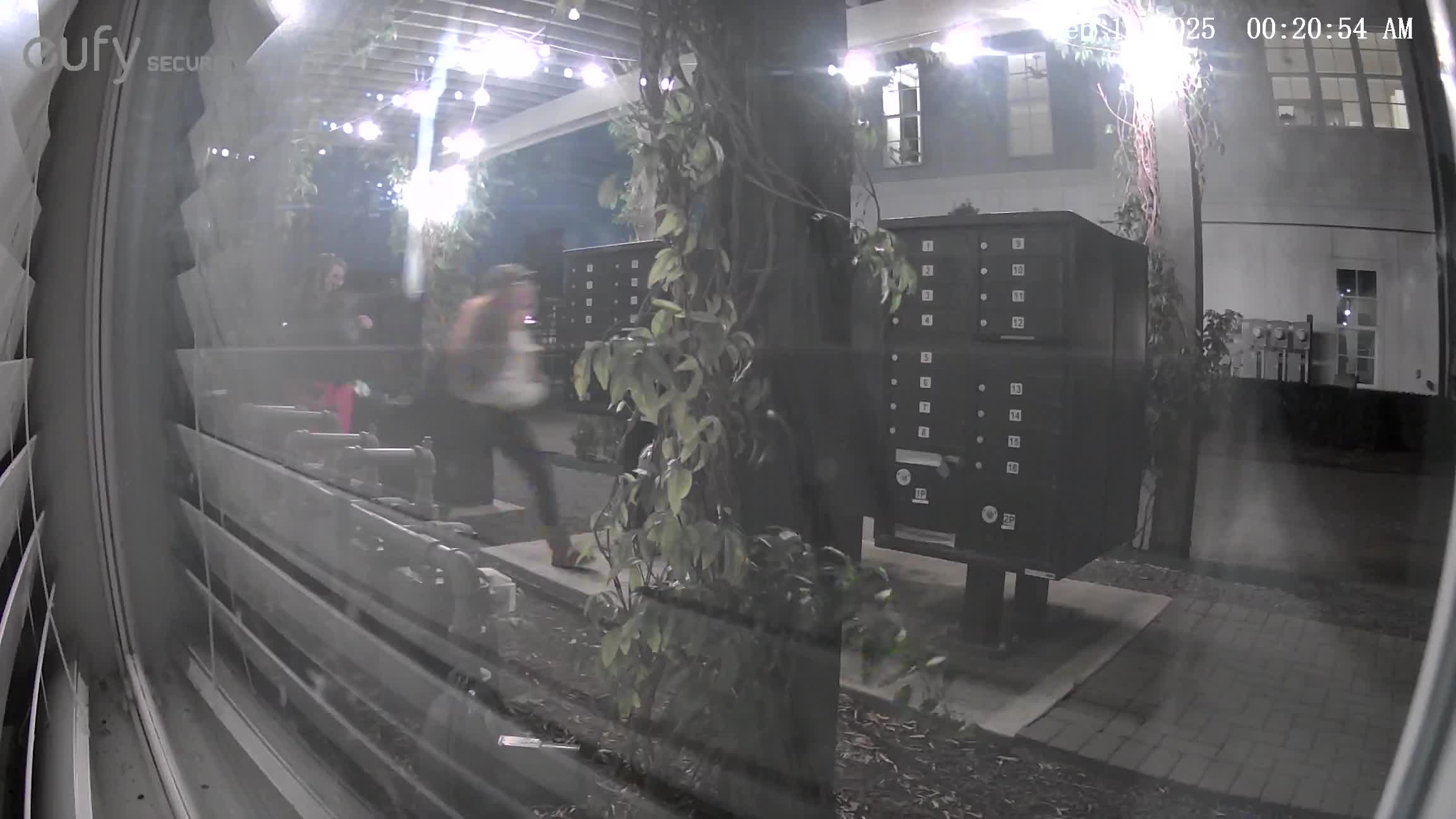 Houston mail theft caught on camera