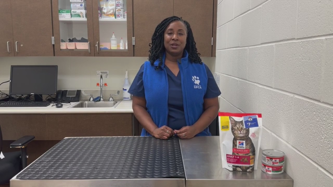 Veterinary medicine career | The Pet Pawcast