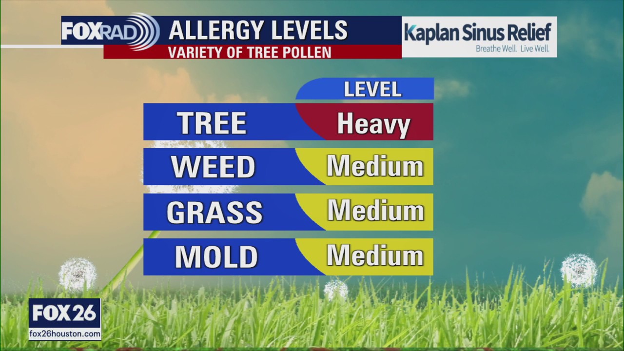 Houston allergy levels; cow escapes Houston rodeo | Forecasting with Friends
