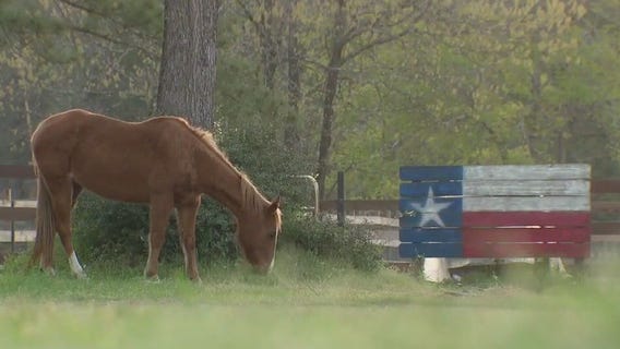 Pauline Road fire: First responder's scramble to evacuate her animals