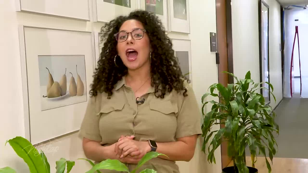 Leaks? Painful intercourse? Saggy lady bits? There's help for that