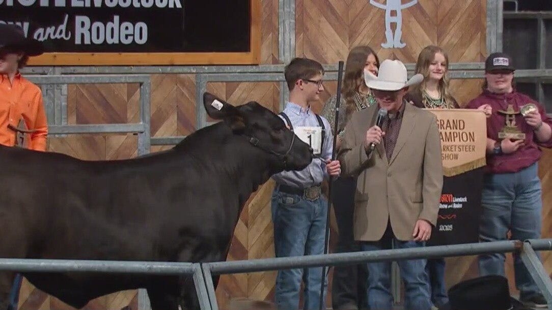 Grand champion steer sells for $675K at HLSR Junior Market