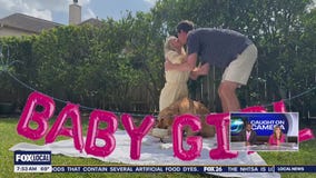 FOX 26's Allison Gargaro expecting baby girl