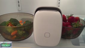 'Shelfy' device promises to keep produce fresh longer; testing it out