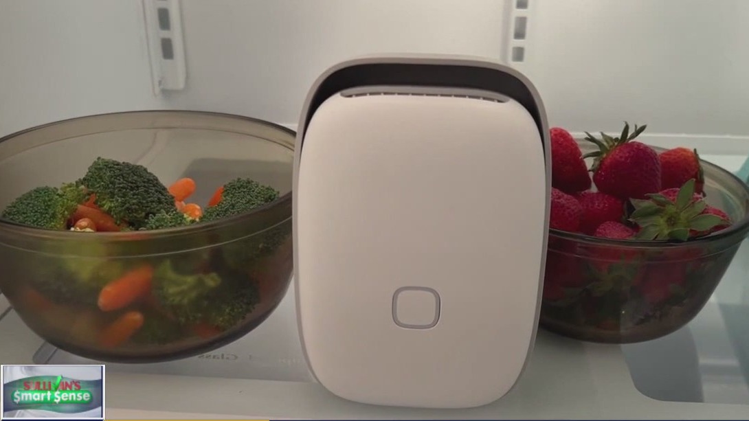 'Shelfy' device promises to keep produce fresh longer; testing it out