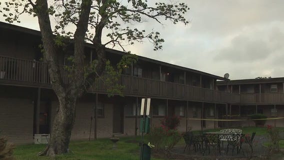 Baytown: 6-month-old dies after dog attack, officials say